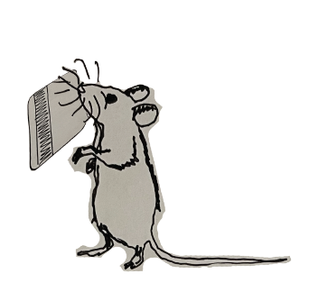Rat with a MetroCard